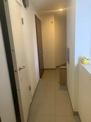 Residences @ Evelyn (D11), Condominium #491696181
